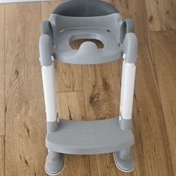 Todler Potty Seat 