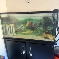 65 Gallon Tank