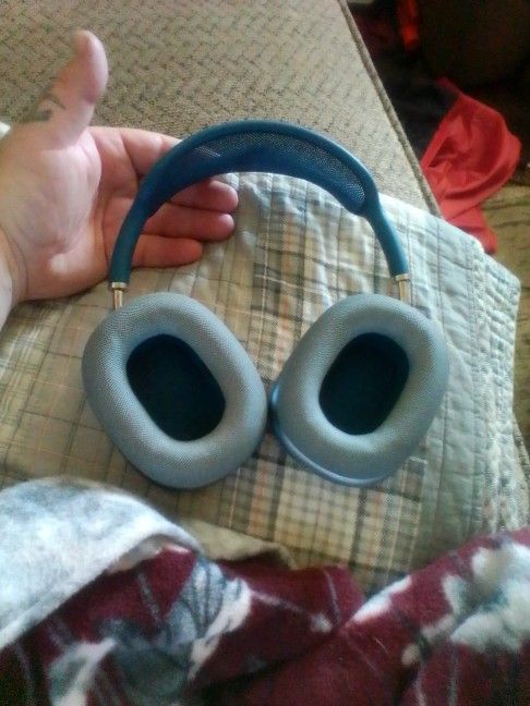 Apple Headphones 