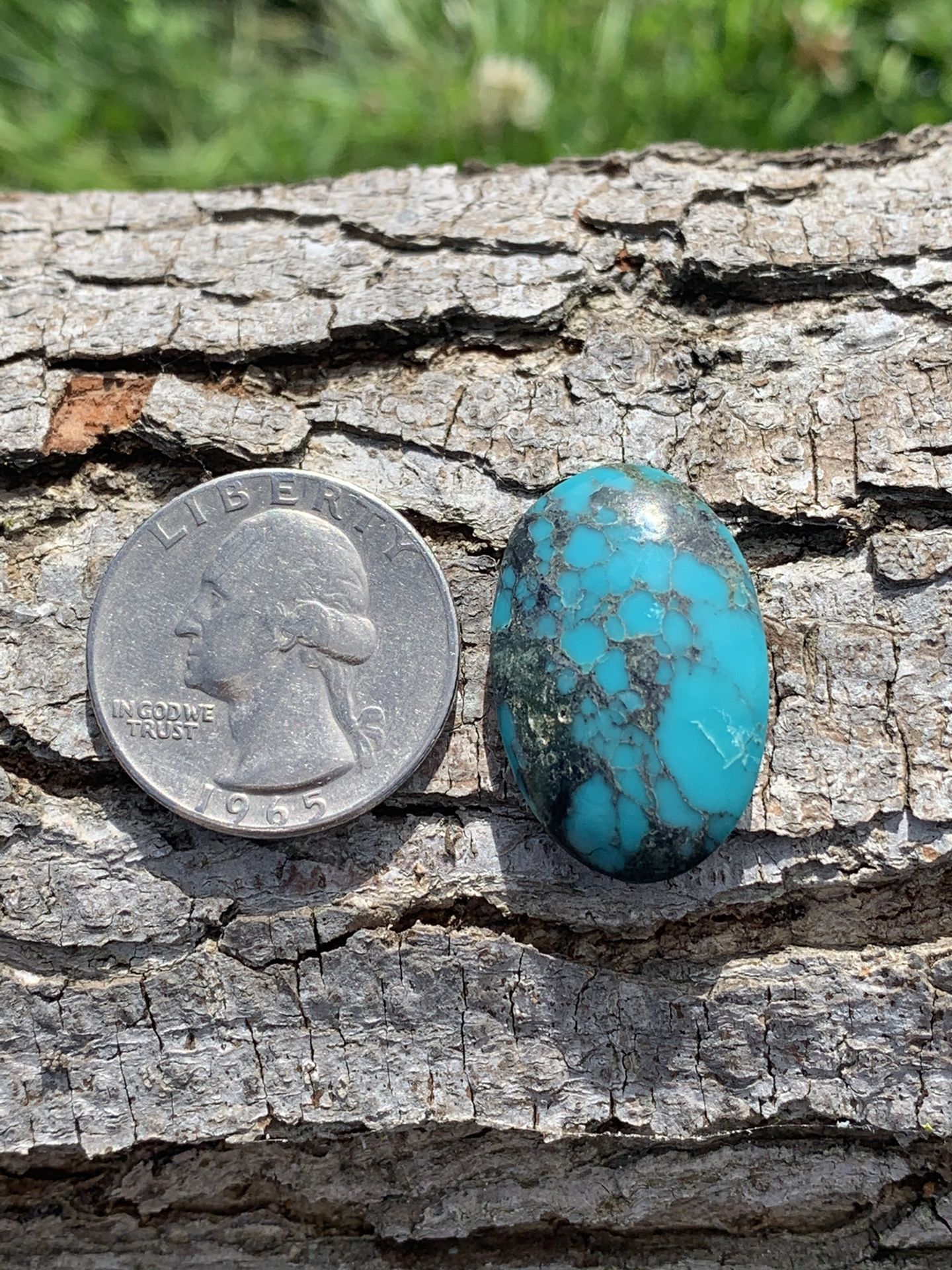 Turquoise Cabochon Gemstones Stones Nevada