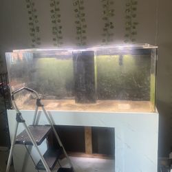 Acrylic Fish Tank 125 Gallons 