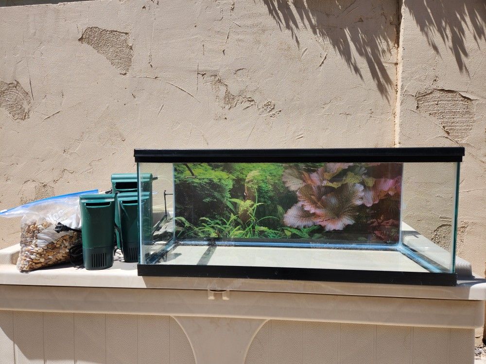 20 Long Aquarium, Filters, Docks & Loads of Accessories