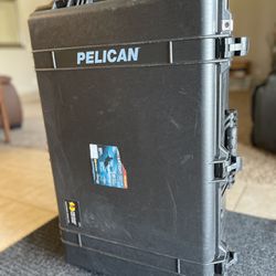 Pelican 1650 Protector Case 