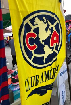 Toalla de tu equipo favorito.