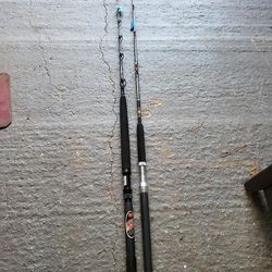 2 High Quality Rods