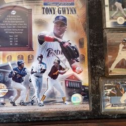 San Diego Padres / Chargers 