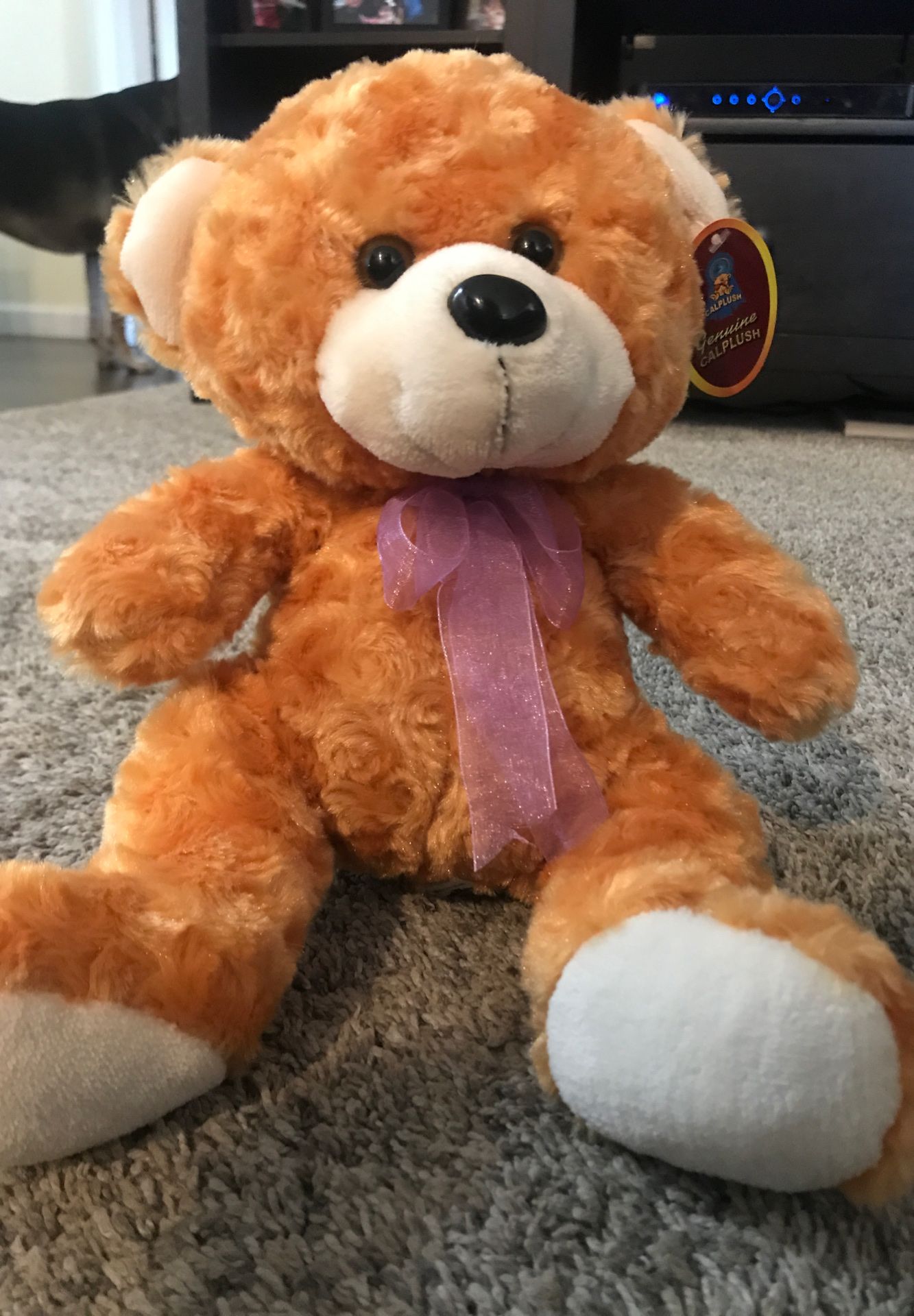 Genuine Calpush teddy bear