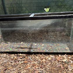 55 Gallon Fish Tank