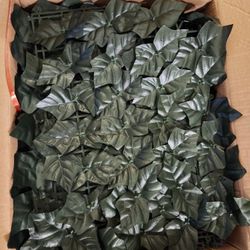 Artificial Ivy Privacy Screens/12 Pieces/$20 Cash Only/ Blue Diamond & Rainbow