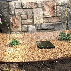 Landscape Design