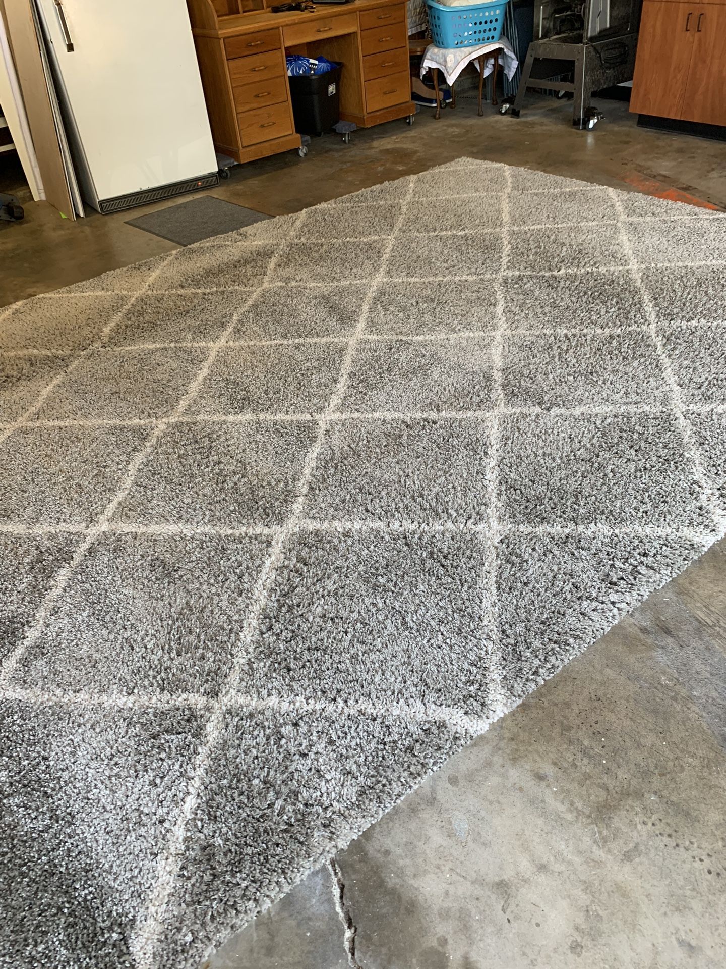 Large Beautiful Area Rug