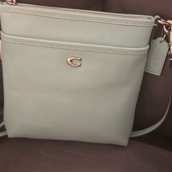 Authentic Coach And Brahmin Bags Asking 100.00