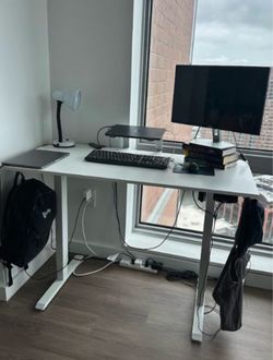 Agilestic 48 * 24 Inch Height Adjustable Electric Standing Desk, White
