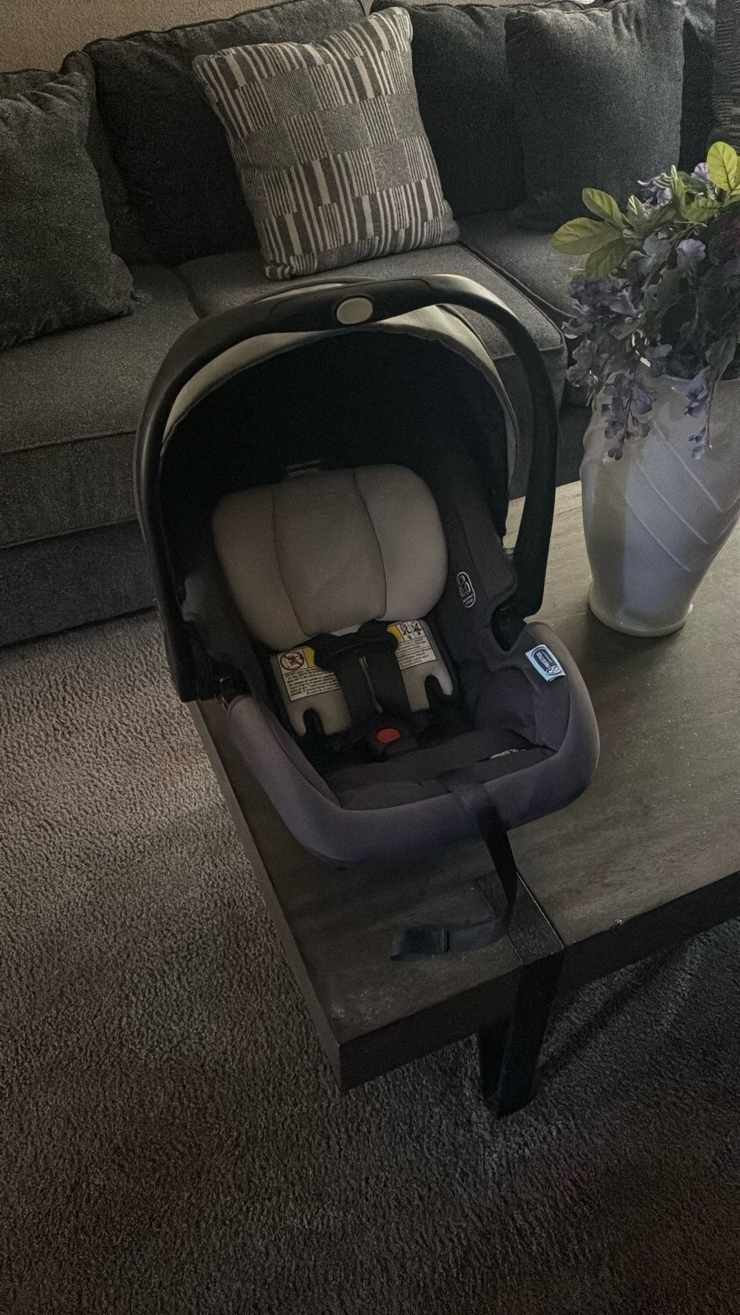 Graco Car Seat