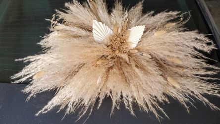 pampas grass