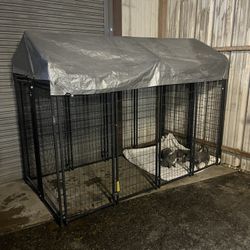 Big Dog Kennel 