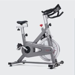 Sunny Synergy Pro Magnetic Indoor Cycling Bike (Model SF-B1851)
