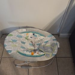 Baby Bouncer