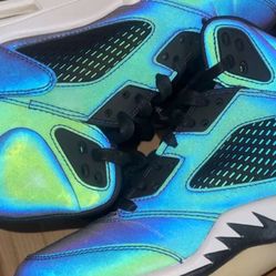 Jordan’s Chameleon Size 8.5 