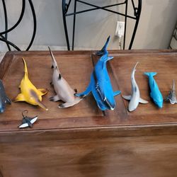 Fish Toys All For 12