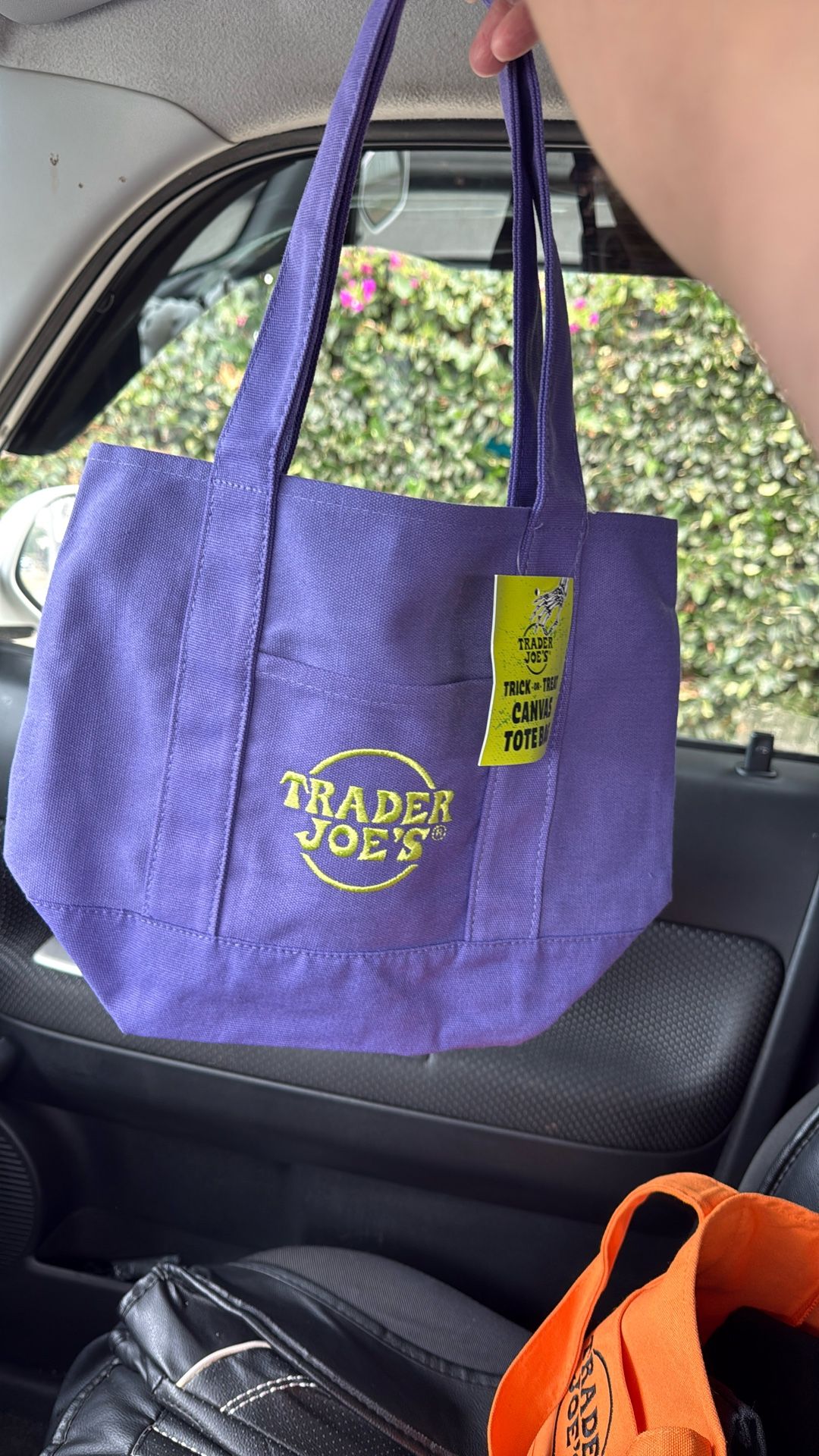 Trader Joe’s Tote