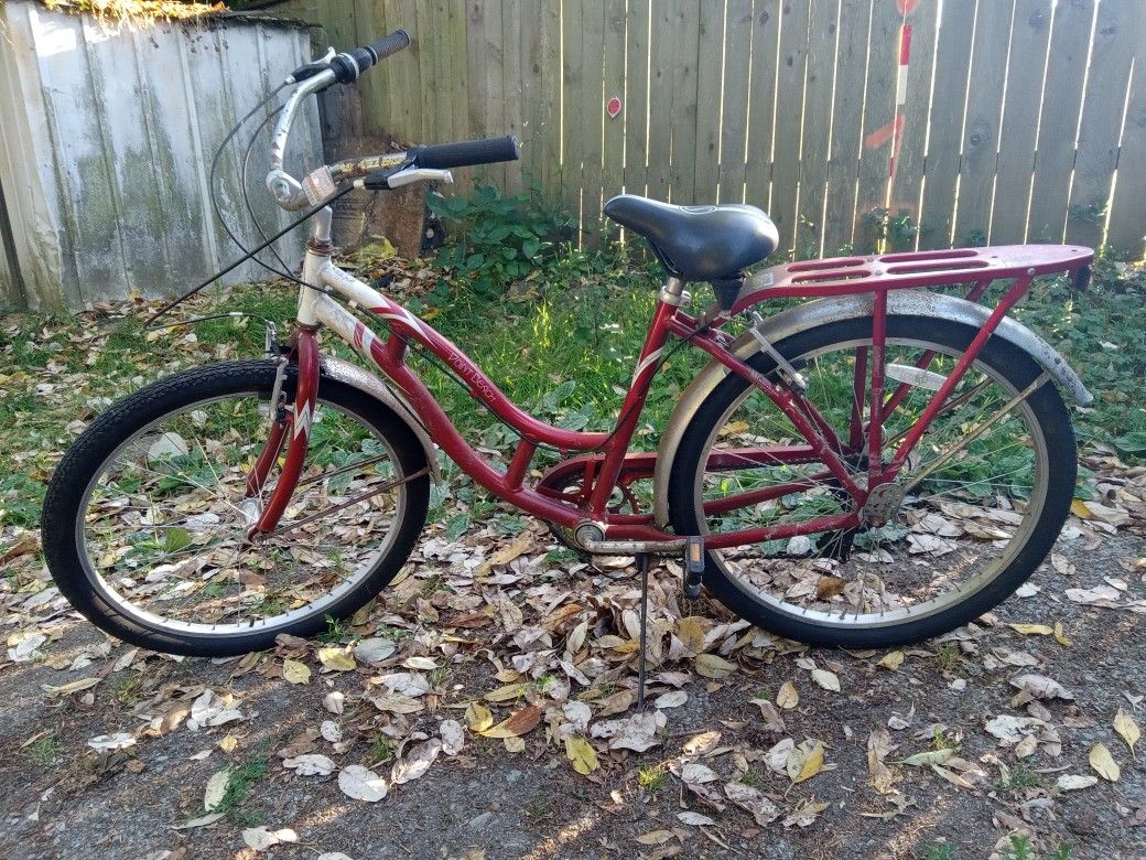 Schwinn Cruiser
