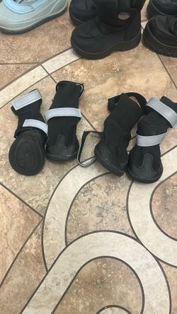 Dog Shoes