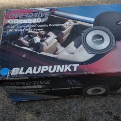 Blaupunk Car Speakers 