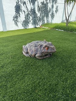 Big Frog