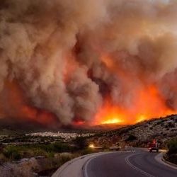 Protect your health today from wildfire smoke! BlueAir Protect 7770i air purifier will help!