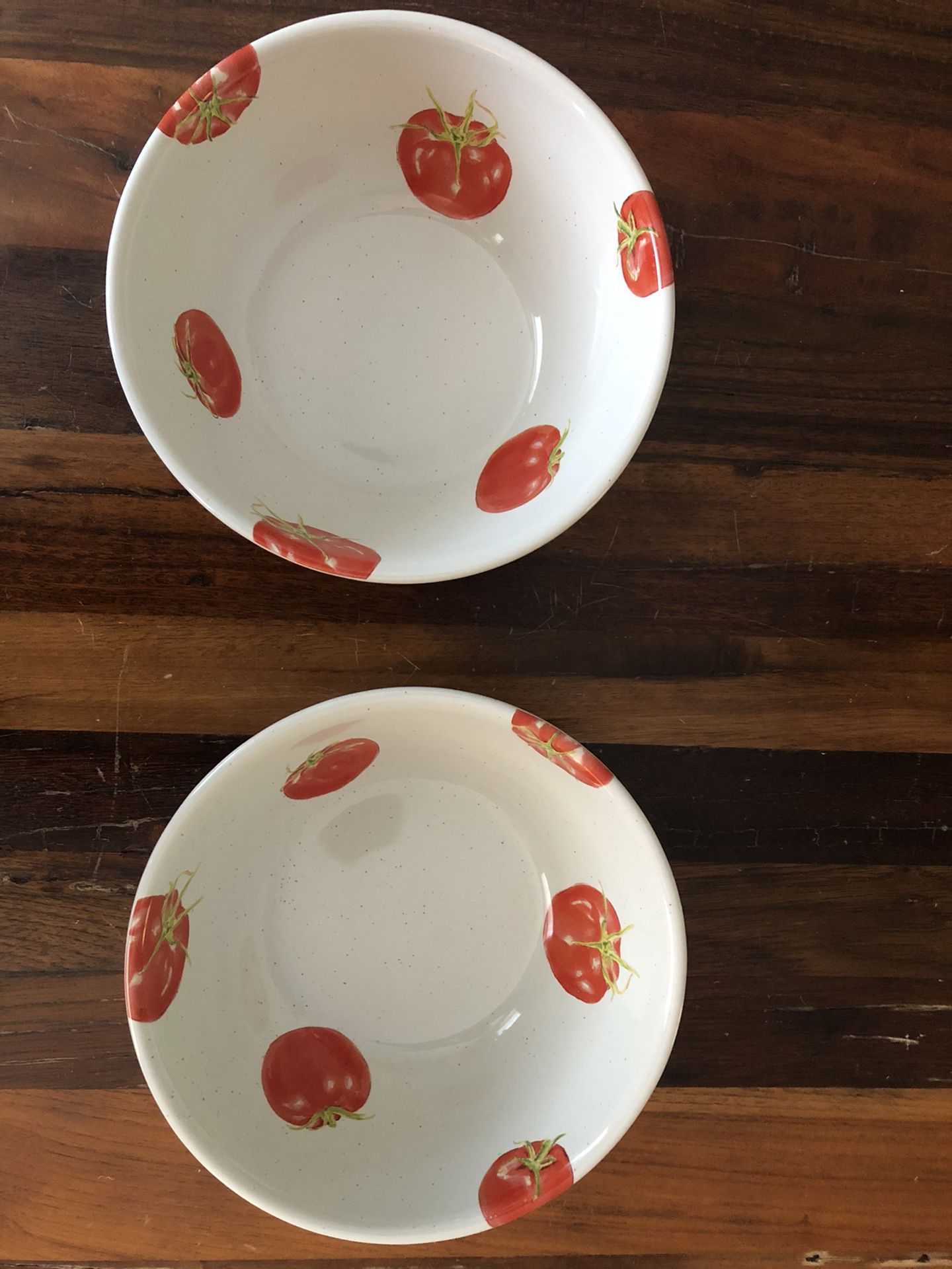 BRAND NEW!!! Set of 2 Pottery Barn pasta bowls