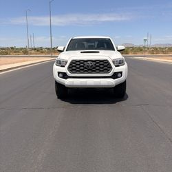 Taco