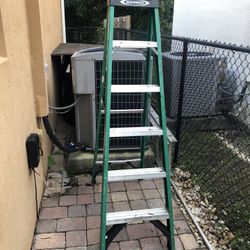 Werner.   6.  Foot Ladder.          $60.   Firm 