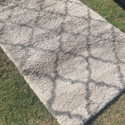 Thomasville Area Rug