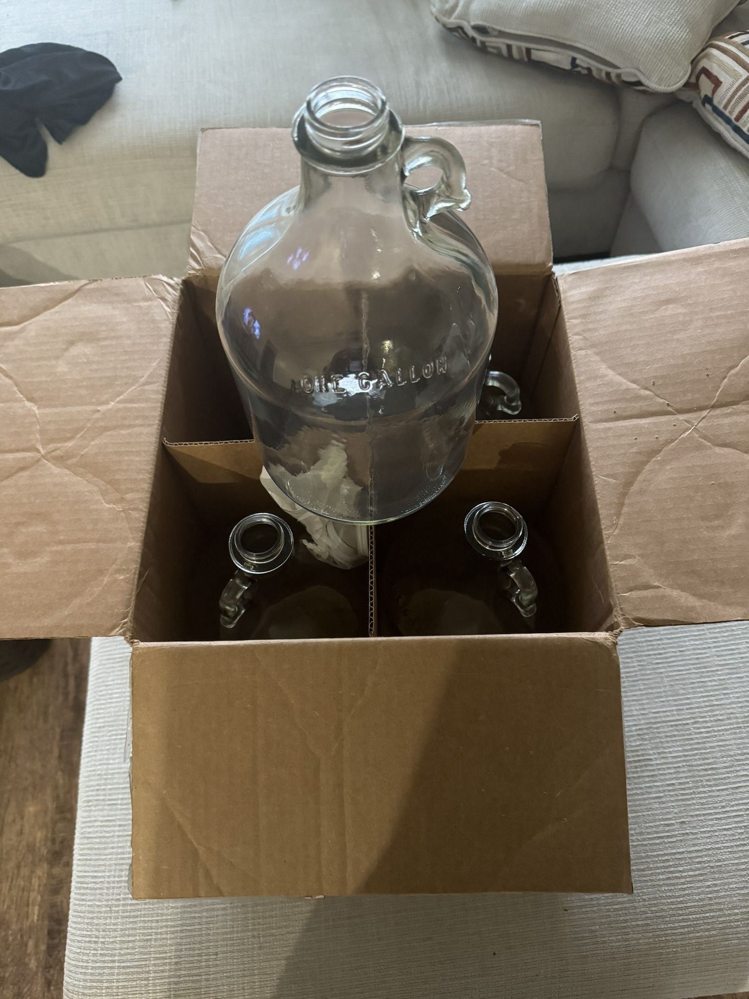 1 Gallon Glass Jug