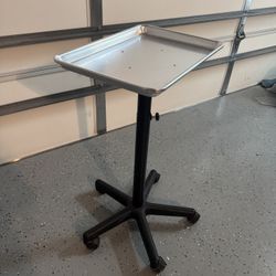 Salon Tray 