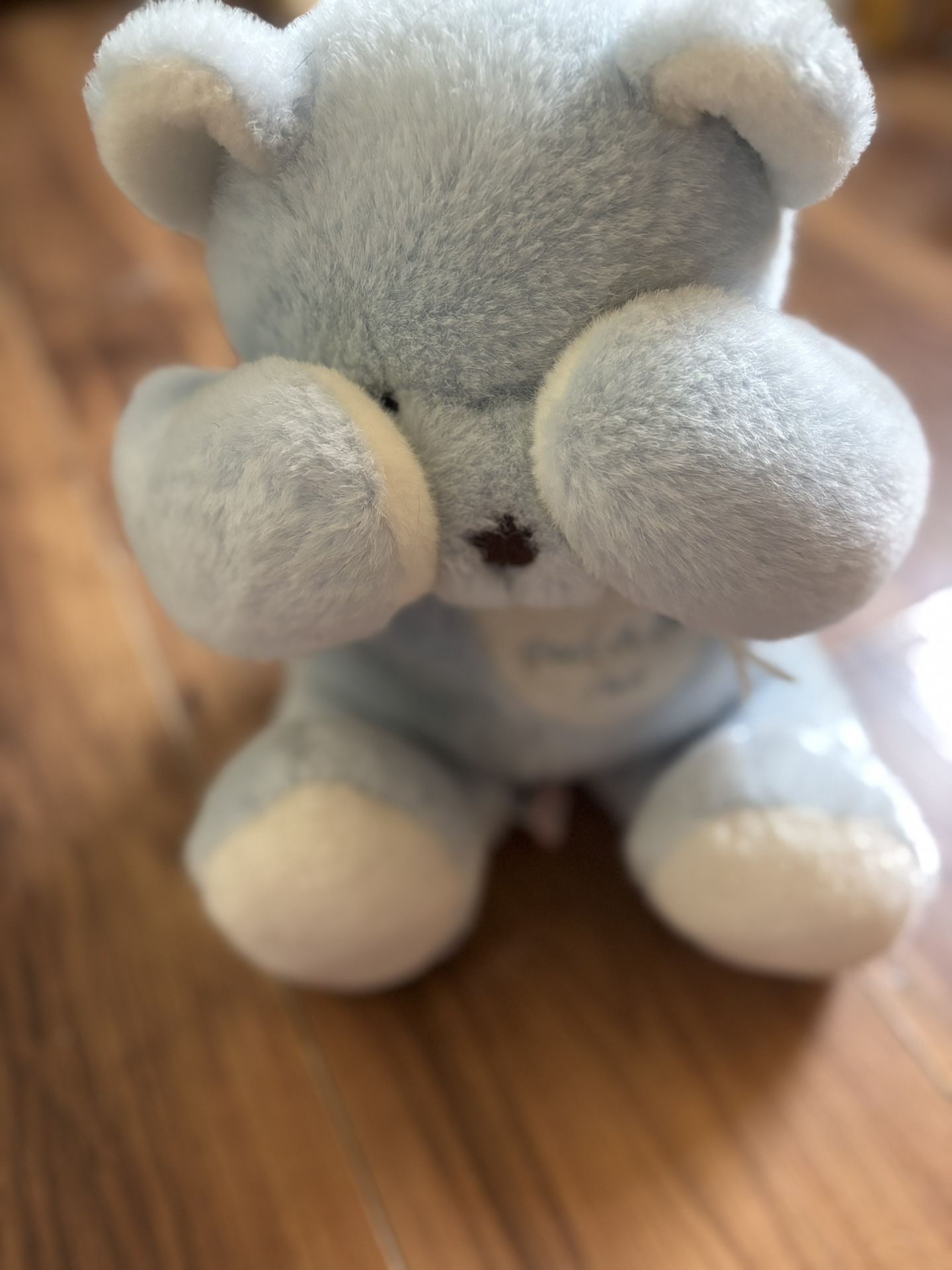 Vintage Musical Peek-A-Boo Pals Bear