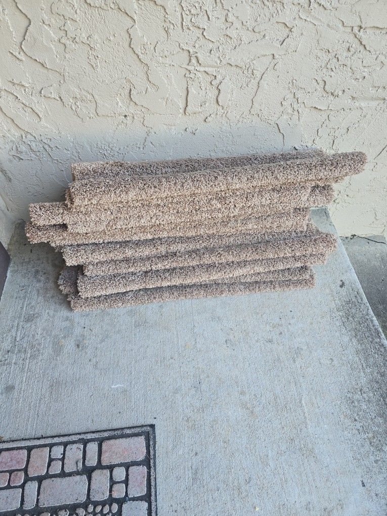 Free Rug  Stairs tread -14+1