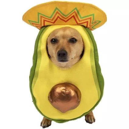 Avocado Sombrero Halloween Dog Costume XS/S