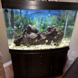 Aquarium 