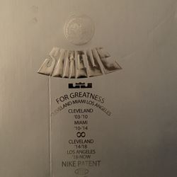 LEBRON JAMES NIKE “XX 20 STOCKIN STUFFER” 