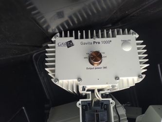 Gavita Pro 1000e Grow Lights