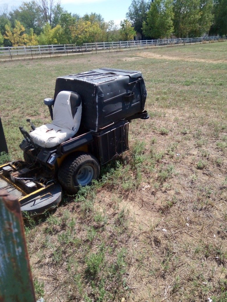 Walker Mower