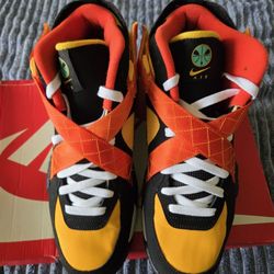 Nike Air Raid Size 11