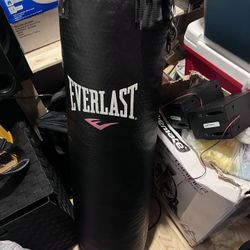 Punching Bag Need Gone ASAP