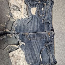 Hollister 