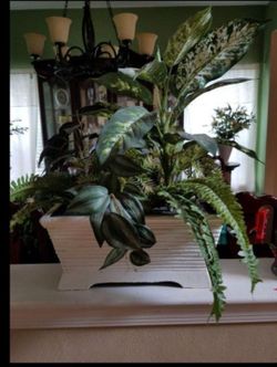 FLOWER DECOR ARRANGEMENTS