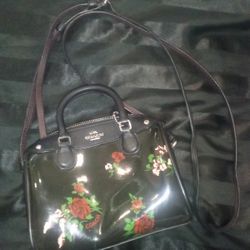Coach  Leather Mini Crossbody Bag 