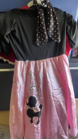 Pink Ladies Halloween costume dress