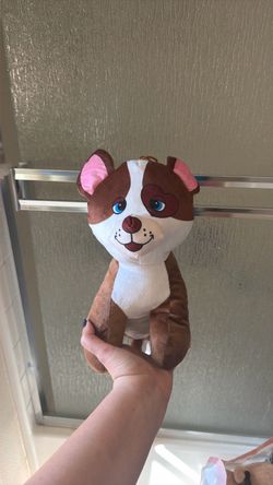 Dog plushy
